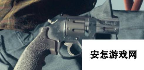 《腐烂国度2》武器 蛮霸支援怎么样