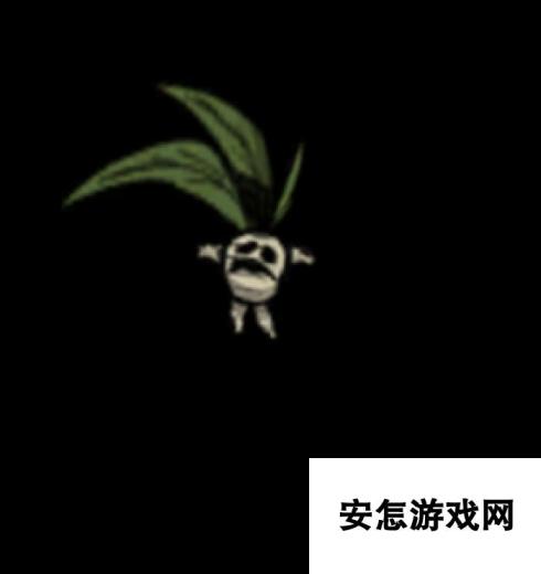 《饥荒联机版》曼德拉草位置介绍